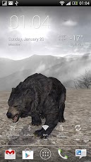 Pocket Bear HD
