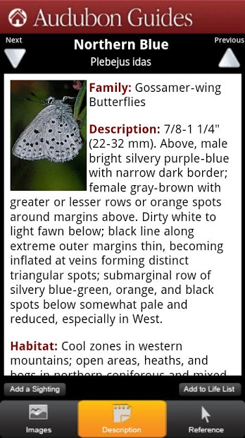 Audubon Butterflies