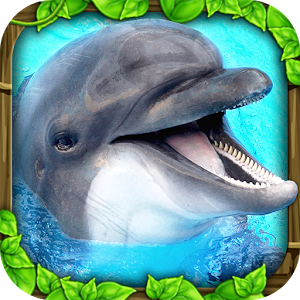 Dolphin Simulator 