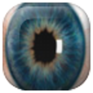 Widget Eye Hidden Camera 