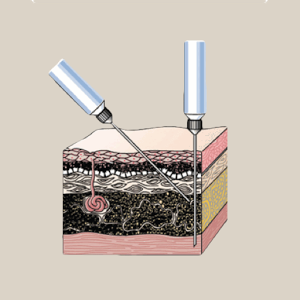 Pharmacology Lippincott's Q&A 5.20.3240