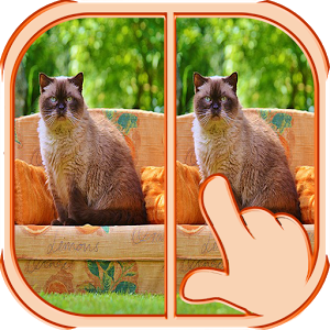 Find Differences 2017 Level 5 2.30.1