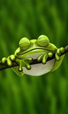Cute Froggy