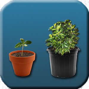 Grow Up APK (Android Game) - Free Download