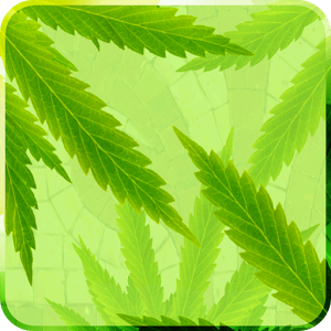 MaryJane Live Wallpaper 1.15