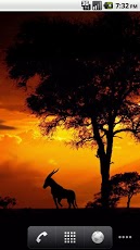 African Sunset LiveWallpaper!