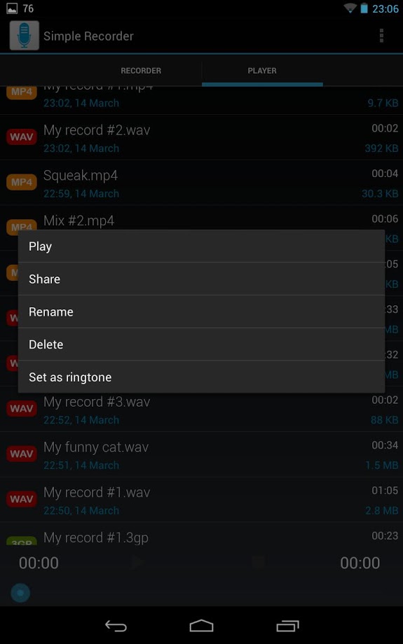 Simple Voice Recorder