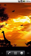 African Sunset LiveWallpaper!