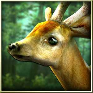 Forest HD 1.6.1