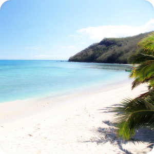 Lost in Paradise 5.0.4