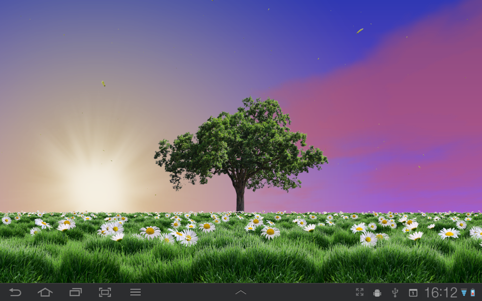 Summer Trees Live Wallpaper