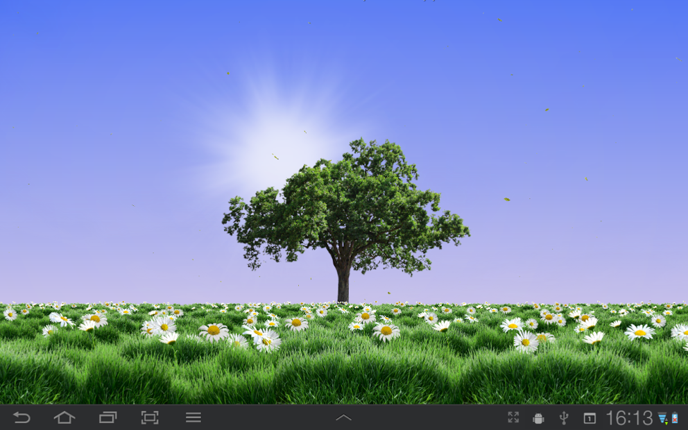 Summer Trees Live Wallpaper