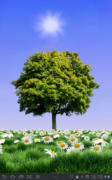 Summer Trees Live Wallpaper