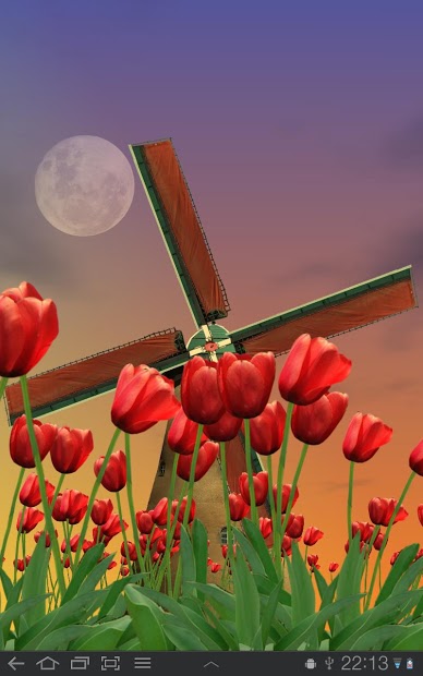 Tulip Windmill Live Wallpaper