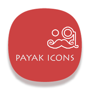 PAYAK ICONS APEX/NOVA/ADW/GO 110