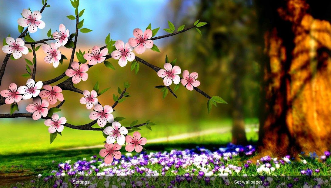 Spring Flowers 3D Parallax Pro