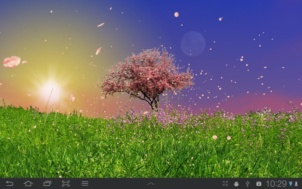 Spring Trees Live Wallpaper