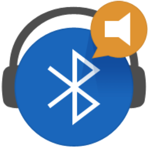 BT Reader Plus (English) 