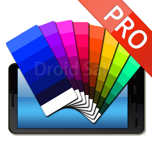 DS Display Expert (Pro) 