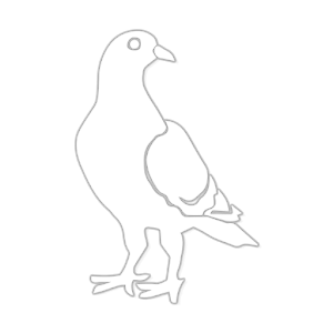 Whicons - White Icon Pack 9.9.1