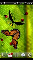 Friendly Bugs Live Wallpaper