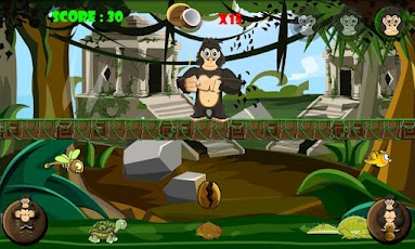 Angry Temple Gorilla