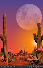 Desert Live Wallpaper
