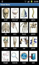Visual Bones