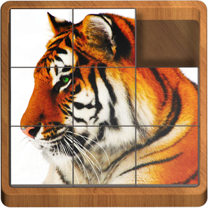 Sliding Blocks Wild Animals 1.0