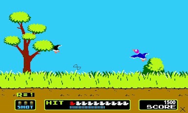 Duck Hunting