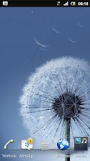 Dandelion galaxy s3 live