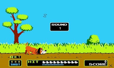 Duck Hunting