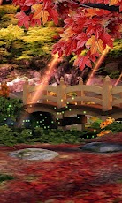 Autumn Grove 3D PRO