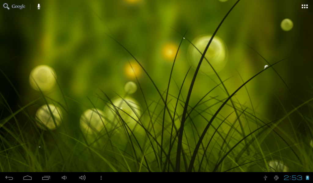 Colorful Summer Meadow