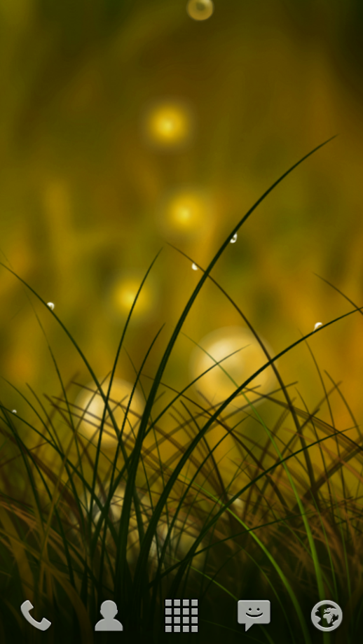 Colorful Summer Meadow