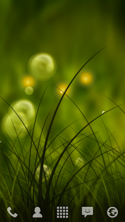 Colorful Summer Meadow