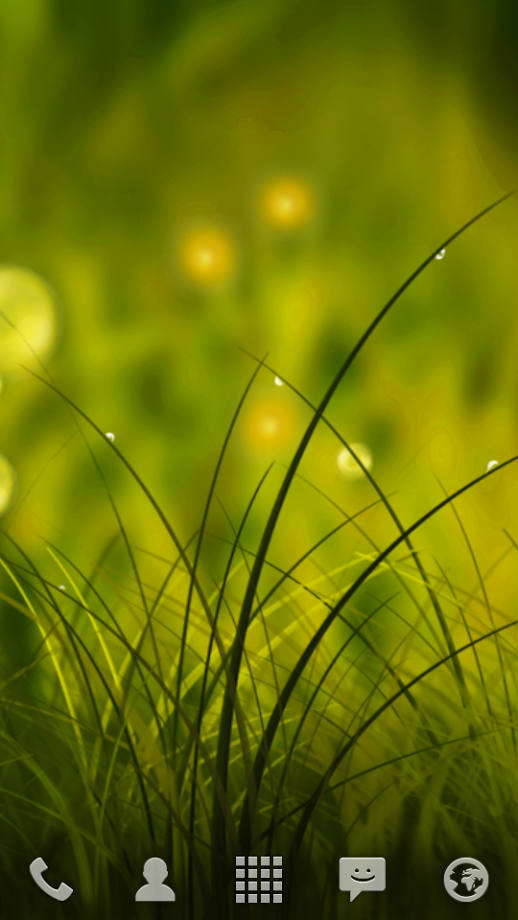 Colorful Summer Meadow