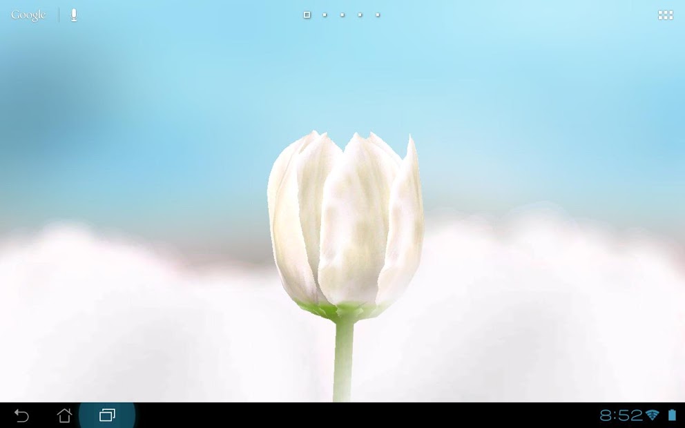 3D Tulip Live Wallpaper