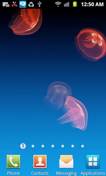 Live Jellyfish