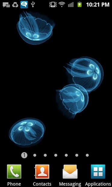 Live Jellyfish