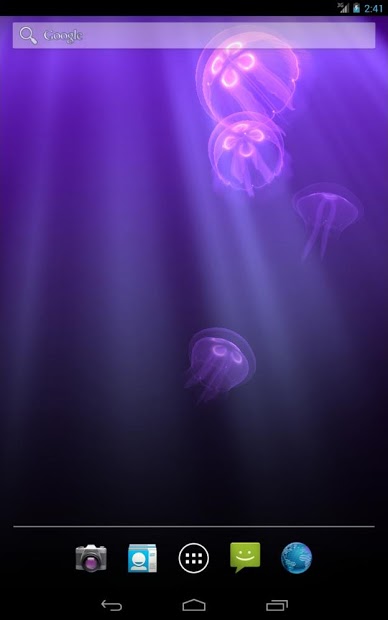 Live Jellyfish