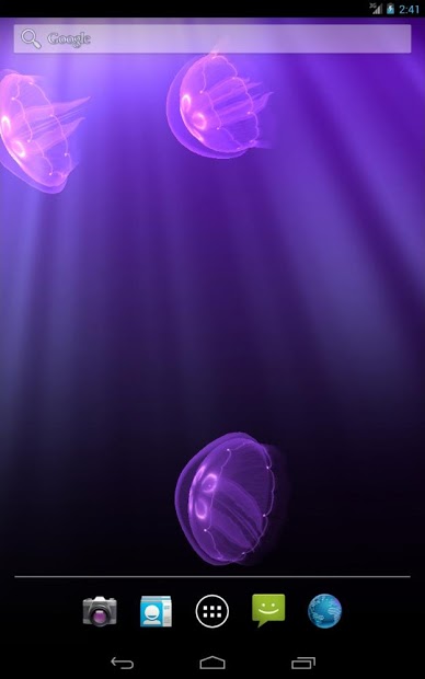 Live Jellyfish