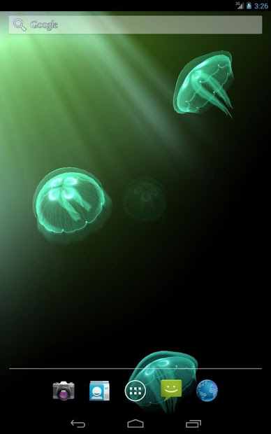 Live Jellyfish