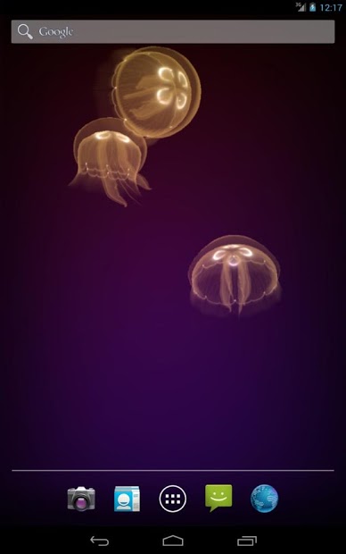 Live Jellyfish