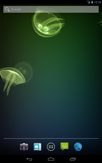 Live Jellyfish