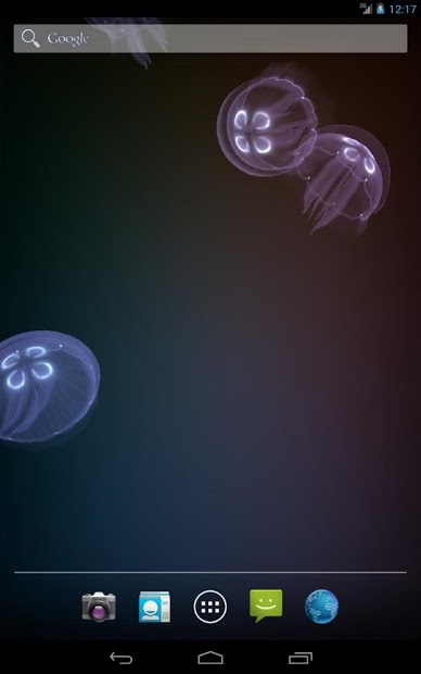 Live Jellyfish