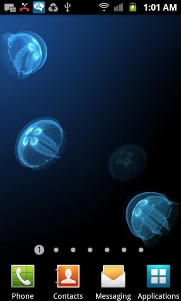 Live Jellyfish