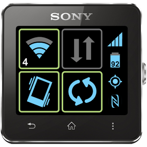 Toggles SmartWatch ambarella