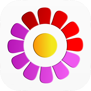 MyDays X Pro - P&O 3.035