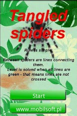 Tangled Spiders